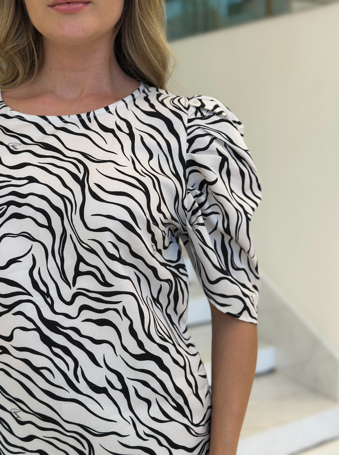 Blusa Lopz Zebra Vanda com estampa animal print, manga longa e tecido confortável, vista frontal.
